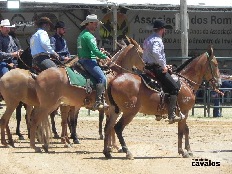 2º Encontro Nacional de Muladeiros de 05 a 07 de Dezembro em Passos (MG)