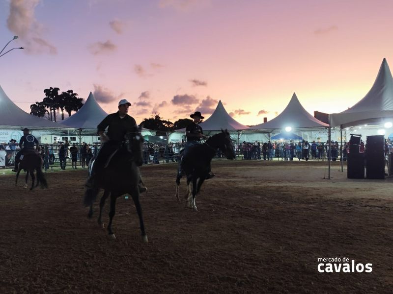 Cobertura Exclusiva do 3º Encontro Nacional de Muladeiros em Itupeva-SP